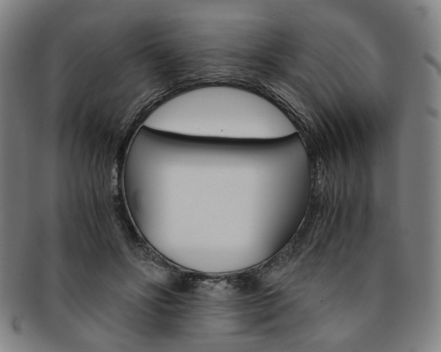 X0000091650502200708231013
