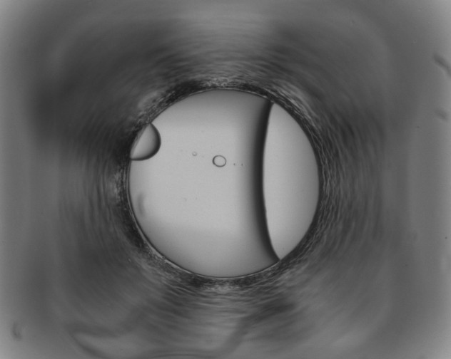 X0000091650503200708231013
