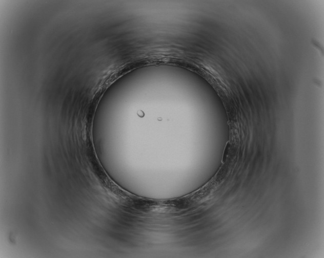 X0000091650504200708231013