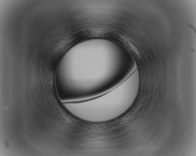 X0000091650505200708231013