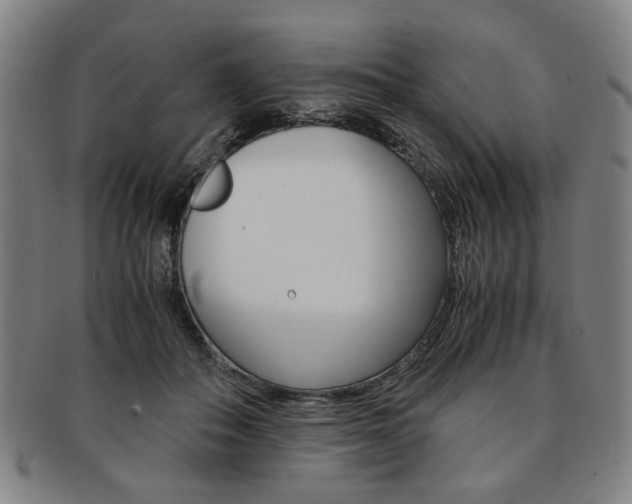 X0000091650506200708231013