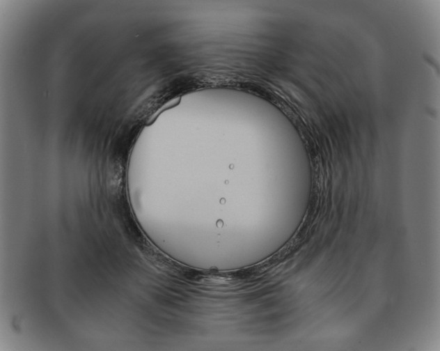 X0000091650507200708231013