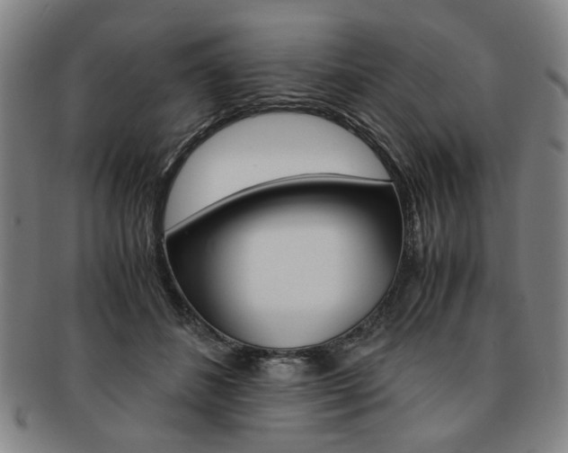X0000091650508200708231013