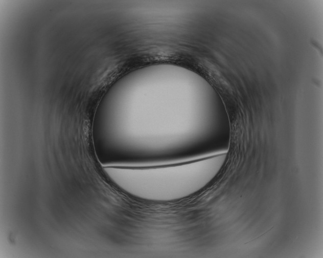 X0000091650509200708231013