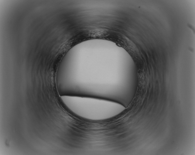 X0000091650510200708231013