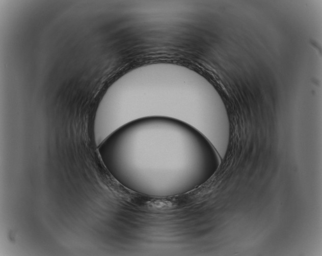 X0000091650512200708231013