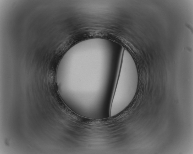 X0000091650513200708231013