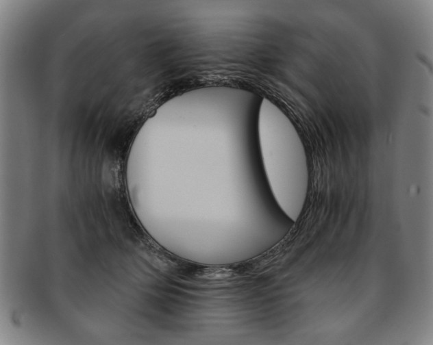 X0000091650514200708231013