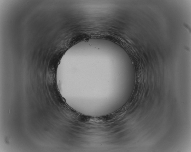 X0000091650515200708231013