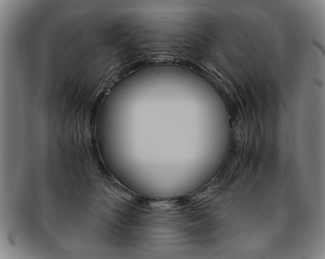 X0000091650516200708231013