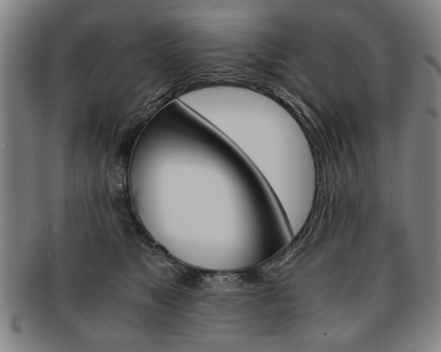 X0000091650517200708231013