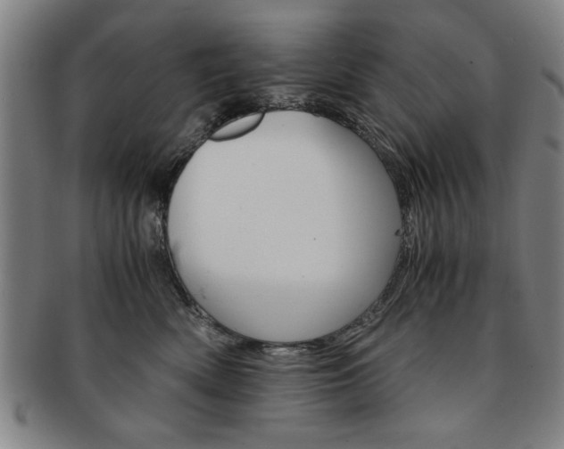 X0000091650522200708231013
