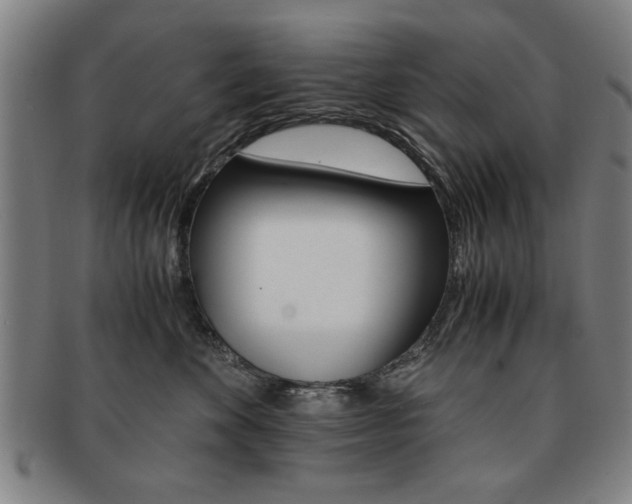 X0000091650524200708231013