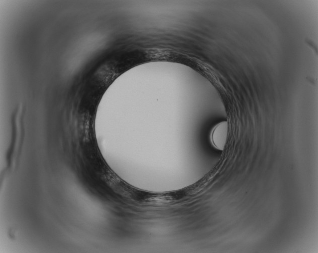 X0000091650525200708231013