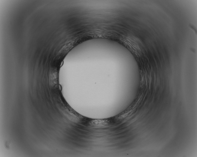 X0000091650526200708231013