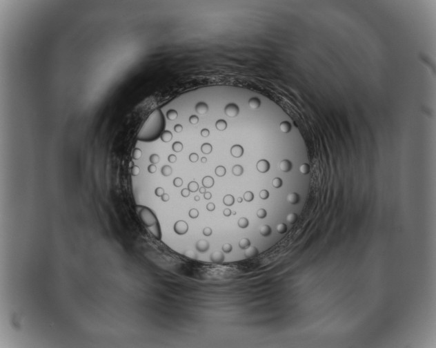 X0000091650527200708231013