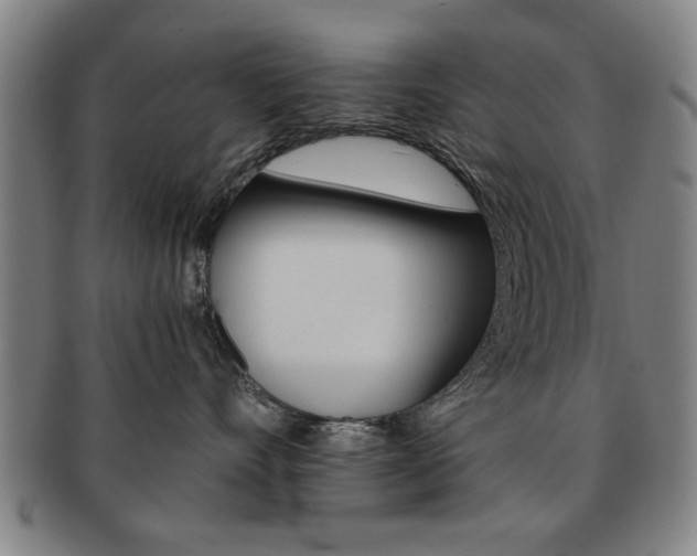X0000091650528200708231013