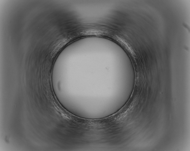 X0000091650529200708231012