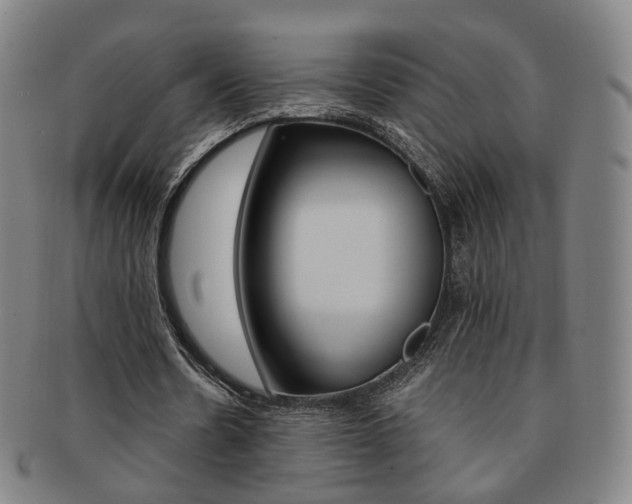 X0000091650530200708231012