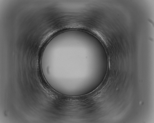 X0000091650531200708231012