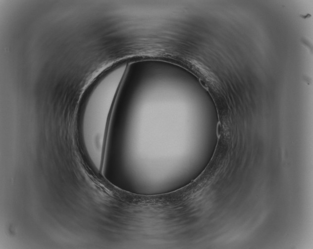 X0000091650532200708231012