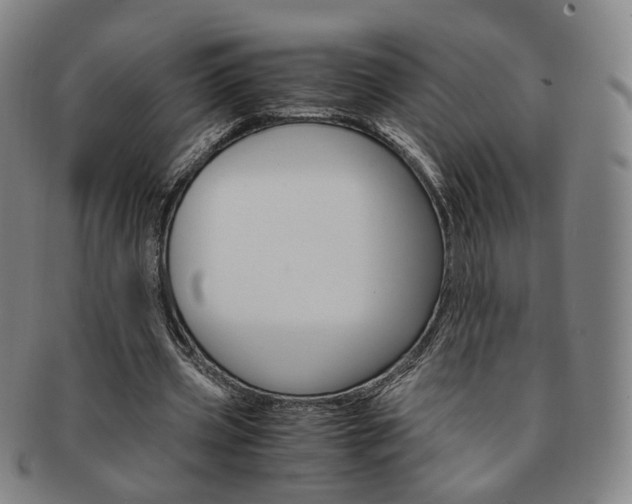 X0000091650533200708231012