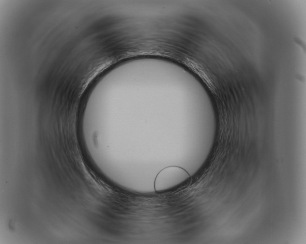 X0000091650534200708231012