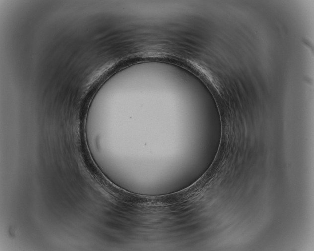 X0000091650535200708231012