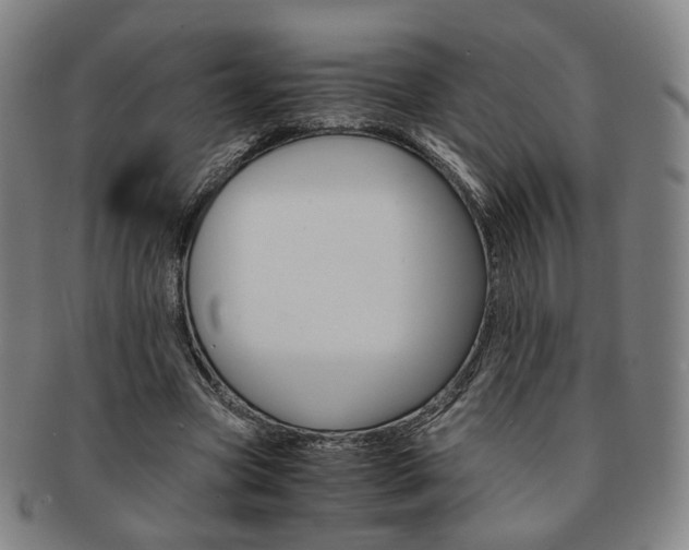 X0000091650537200708231012