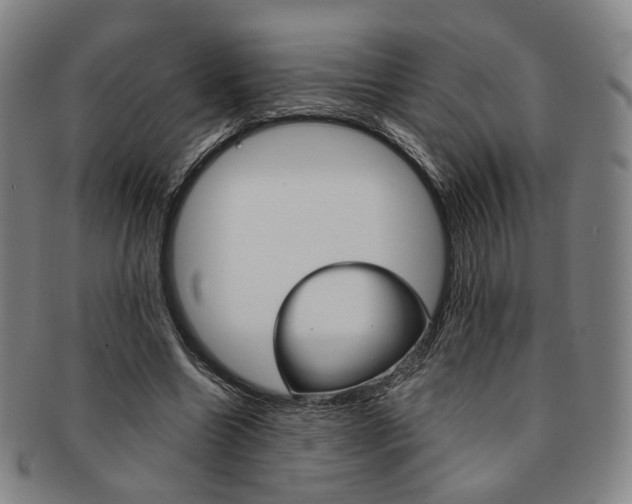 X0000091650538200708231012