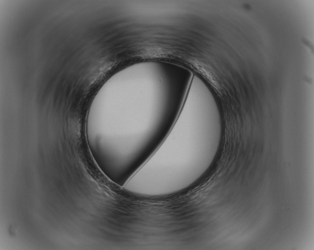 X0000091650539200708231012