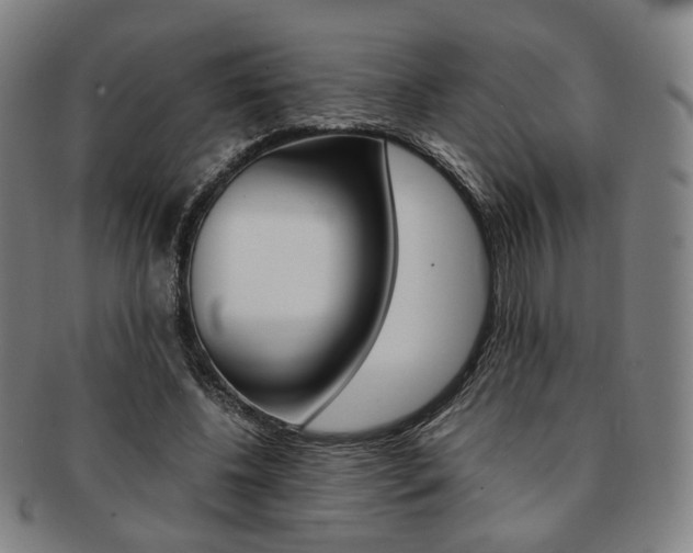 X0000091650540200708231012