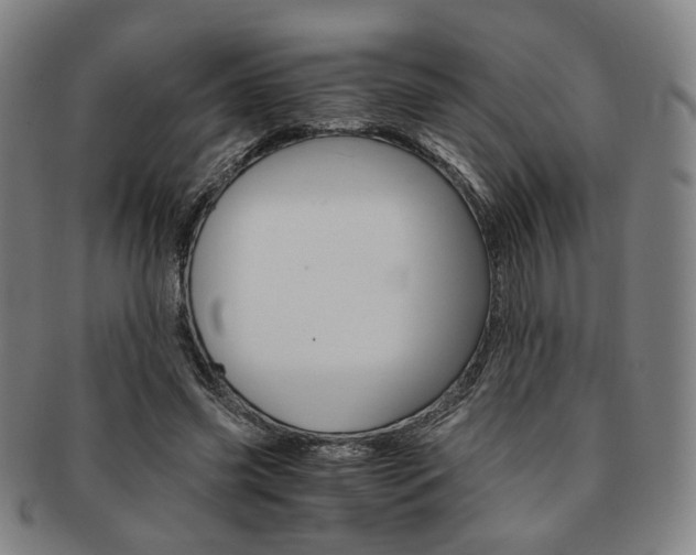 X0000091650541200708231012