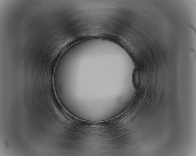 X0000091650542200708231012