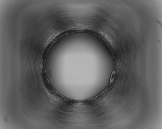 X0000091650544200708231012