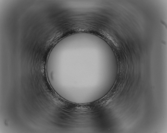 X0000091650545200708231012