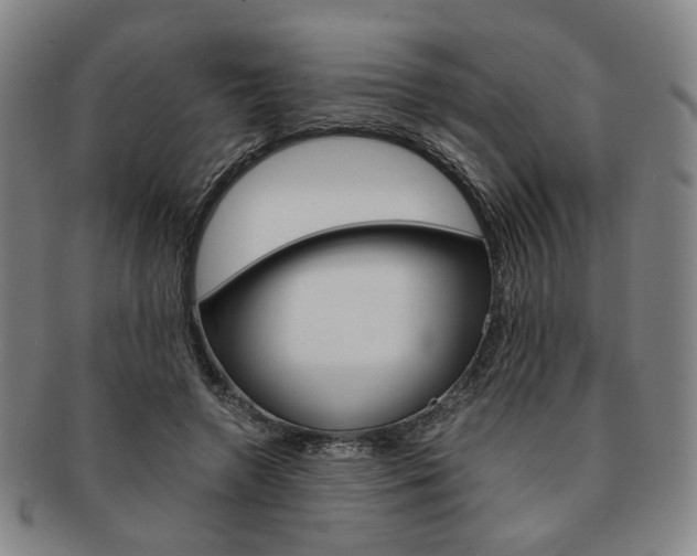 X0000091650546200708231012