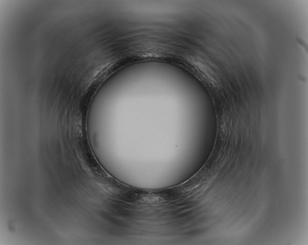 X0000091650547200708231012