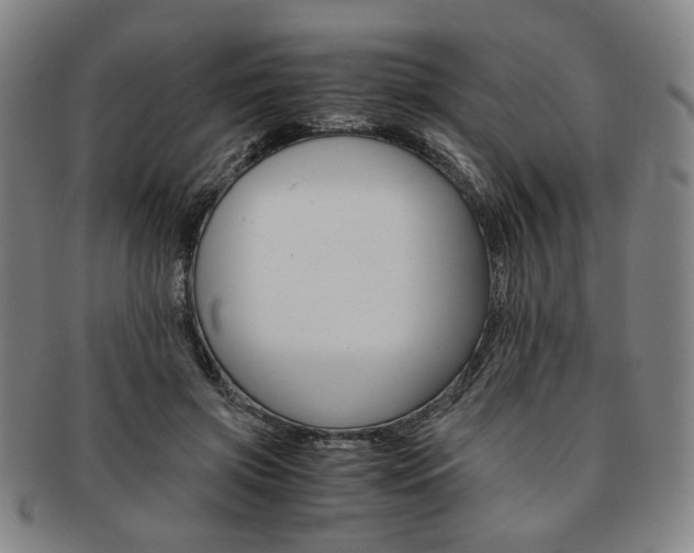 X0000091650549200708231012