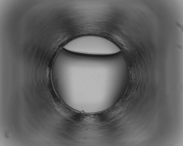 X0000091650550200708231012