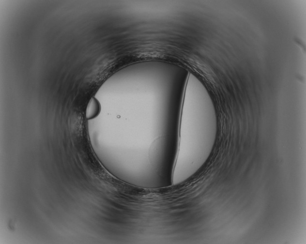 X0000091650551200708231012