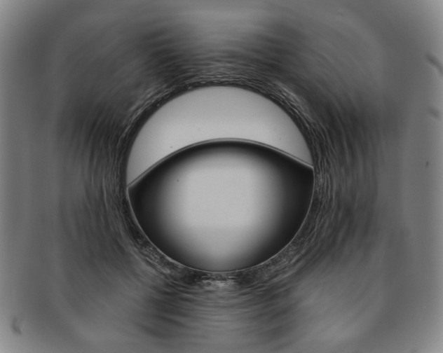 X0000091650552200708231012
