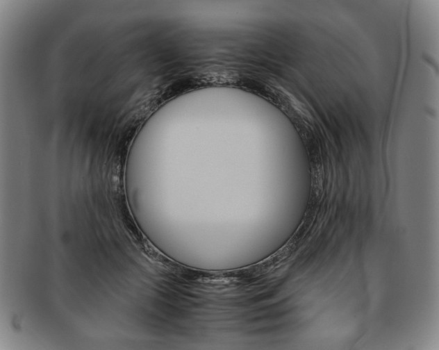 X0000091650553200708231012