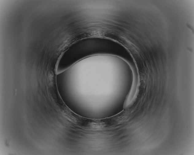 X0000091650556200708231012