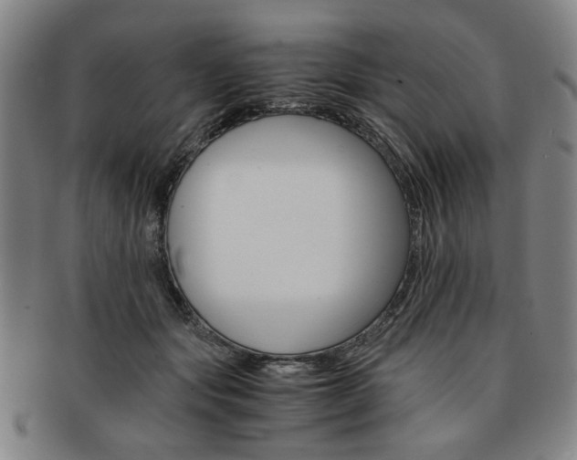 X0000091650557200708231012