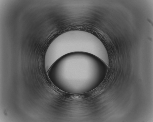 X0000091650558200708231012
