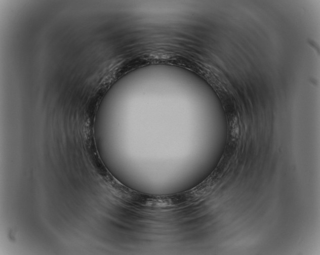 X0000091650559200708231012