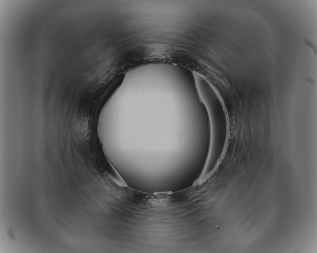 X0000091650560200708231012