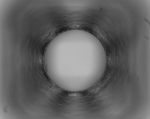 X0000091650561200708231012