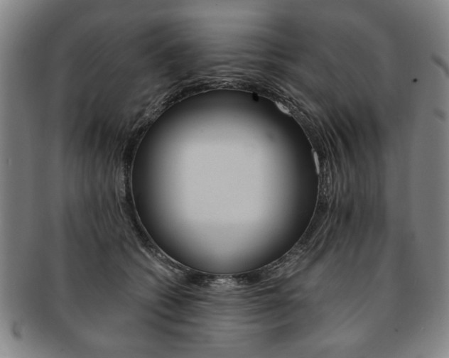 X0000091650562200708231012